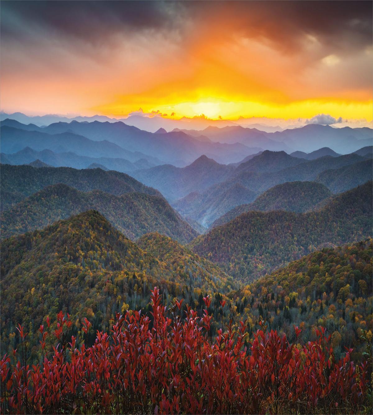 Picturesque Sunset NC — Pattern