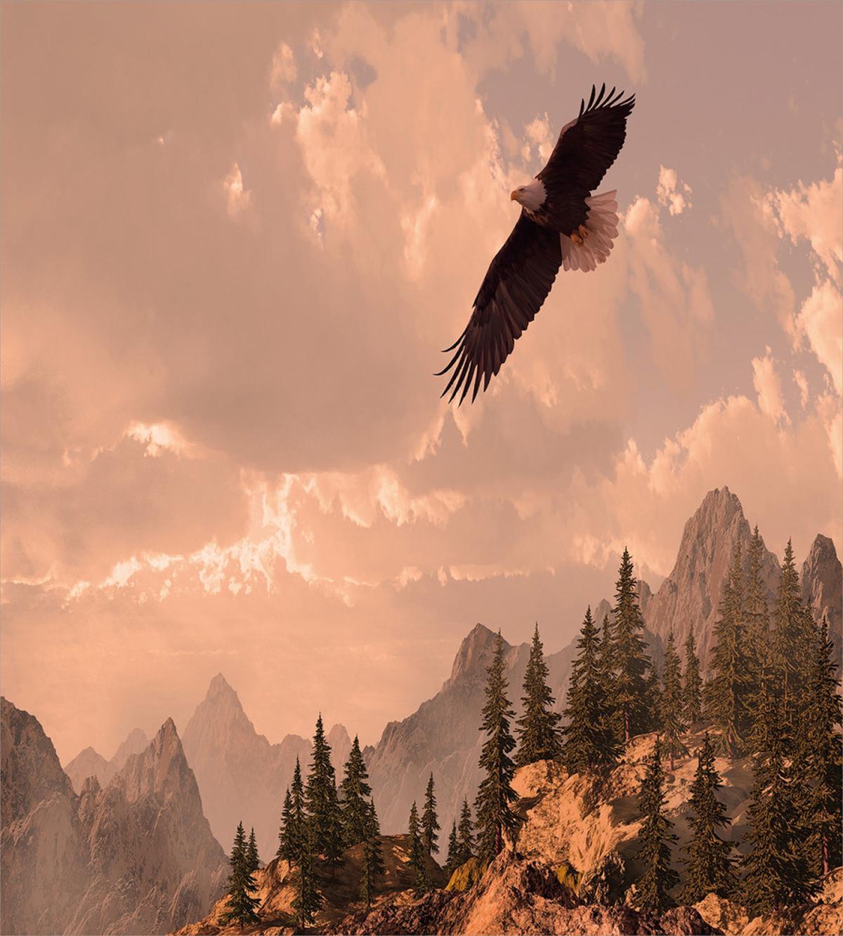 Nature Rocky Mountains — Pattern