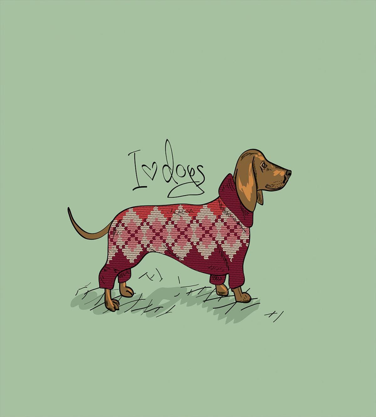 Animal in Clothes — Pattern