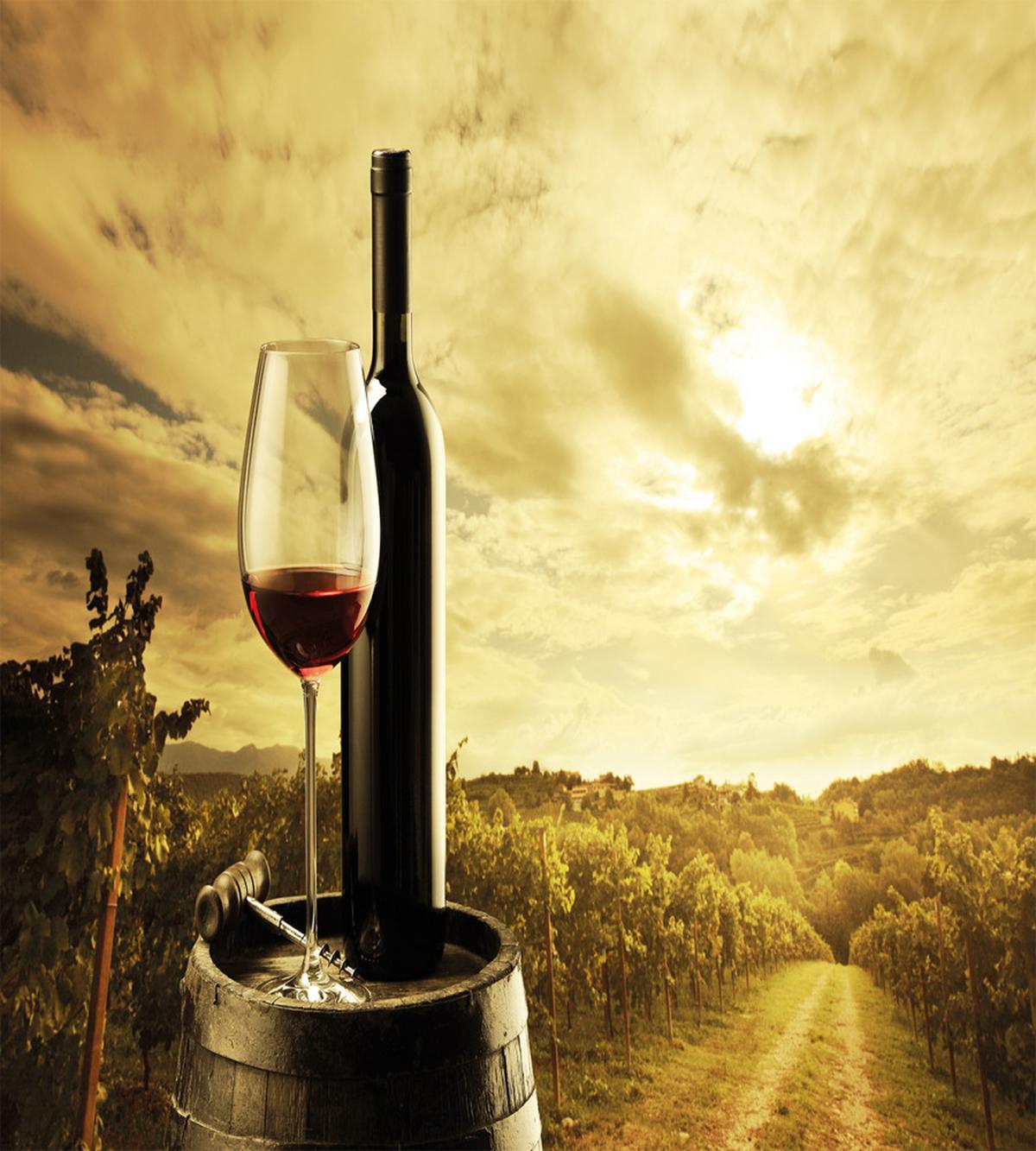 Red Wine Themed Vineyard — Pattern
