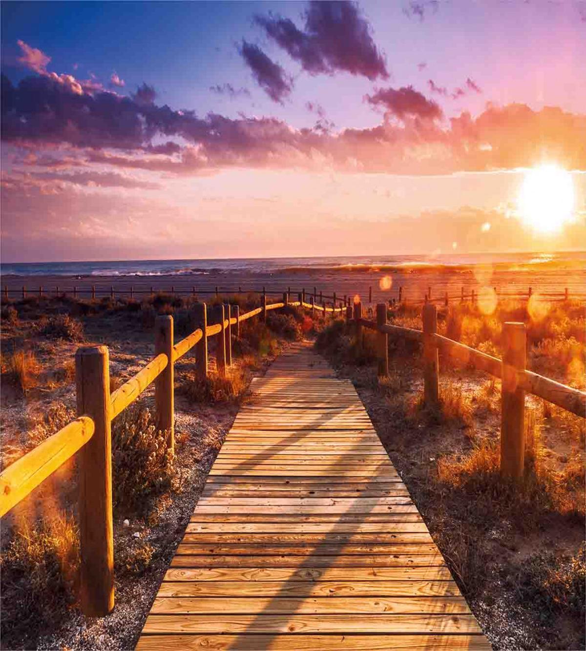 Sunset in Nature Park — Pattern
