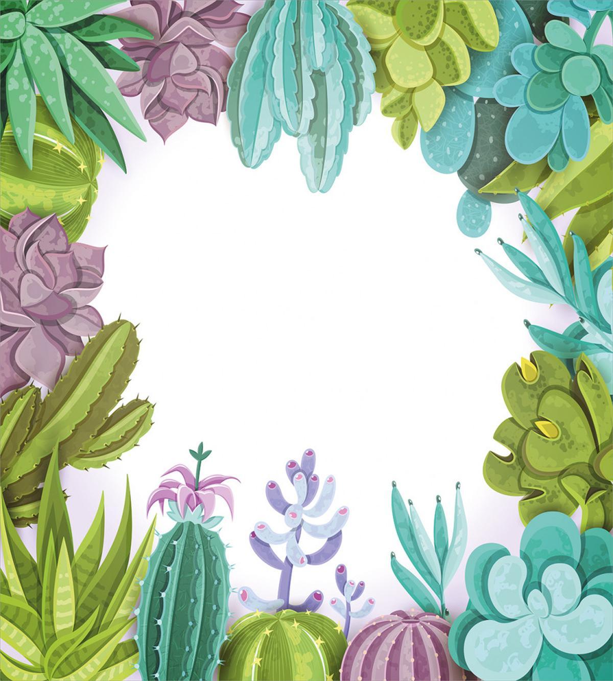 Succulents Plants Frame — Pattern