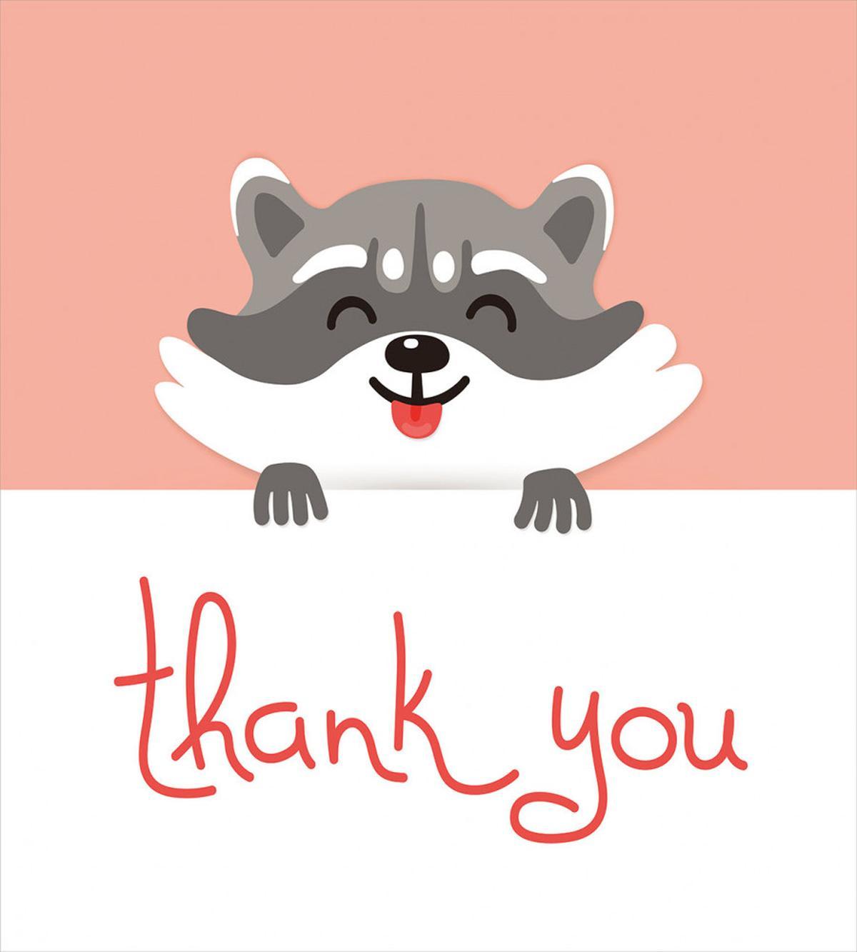 Cheerful Cartoon Raccoon — Pattern
