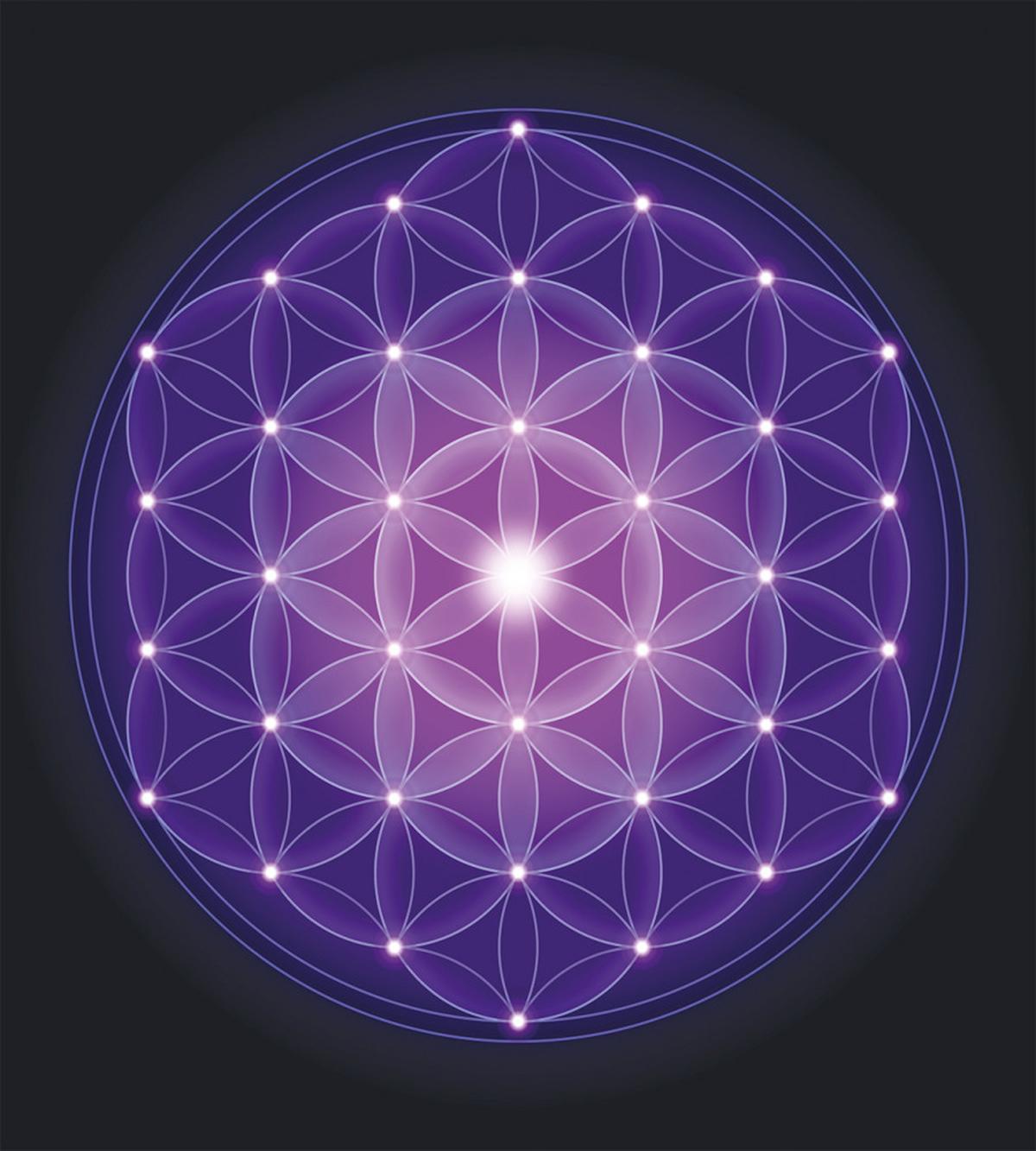 Flower of Life Stars — Pattern