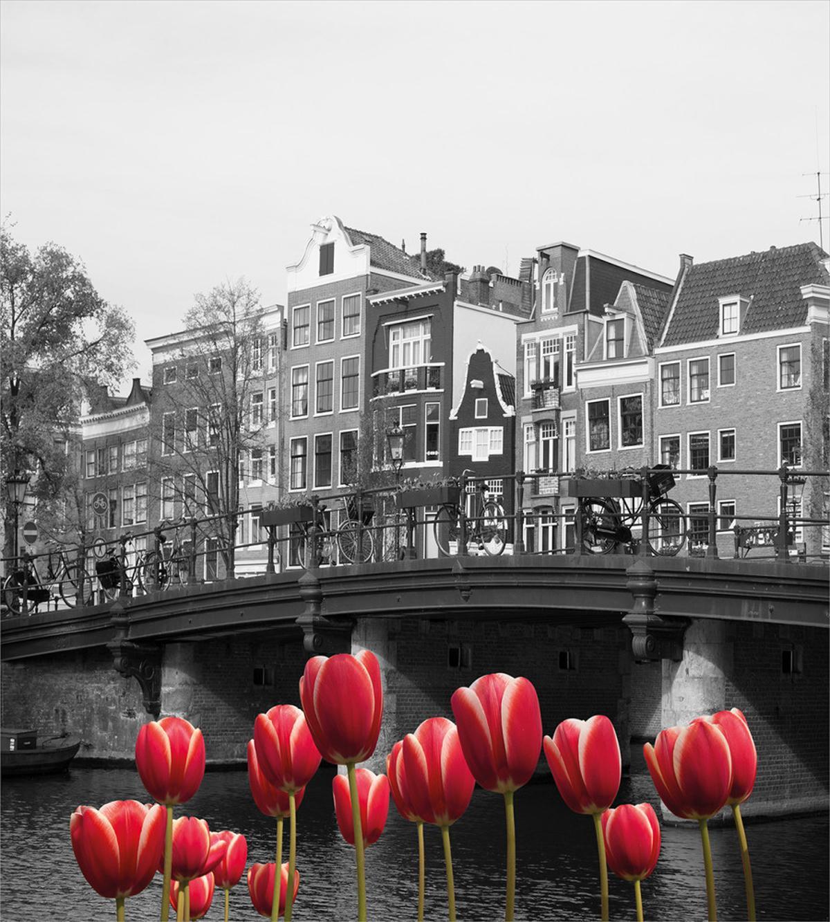 Amsterdam Canal — Pattern