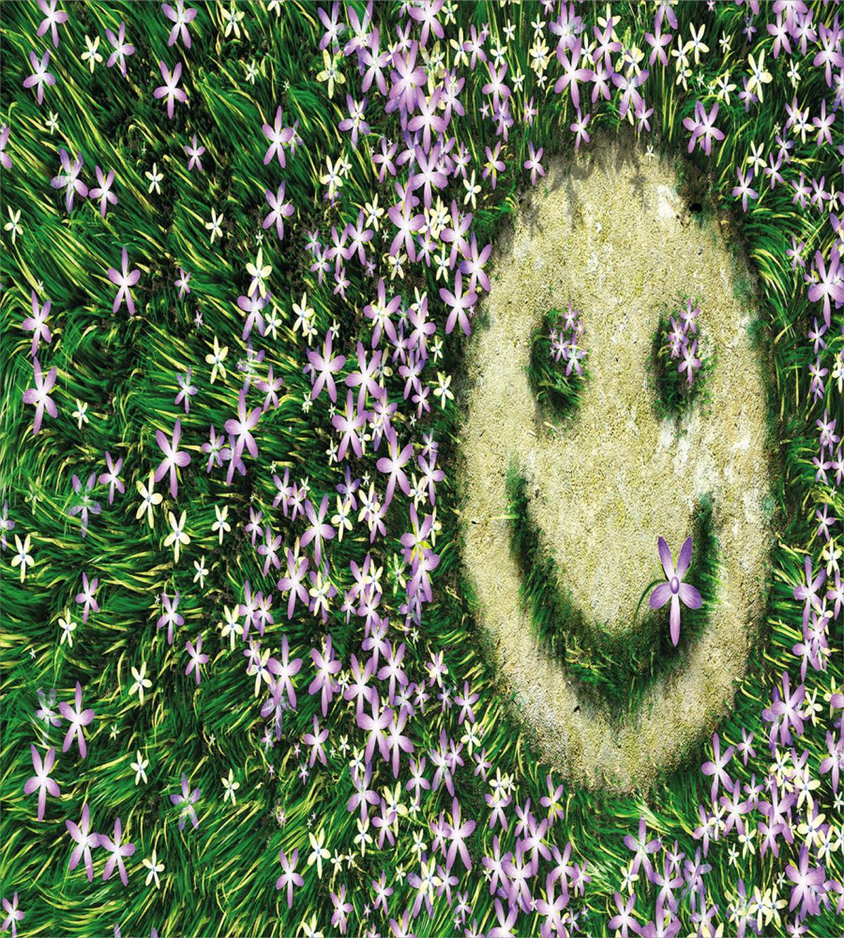 Smiley Emoticon on Grass — Pattern