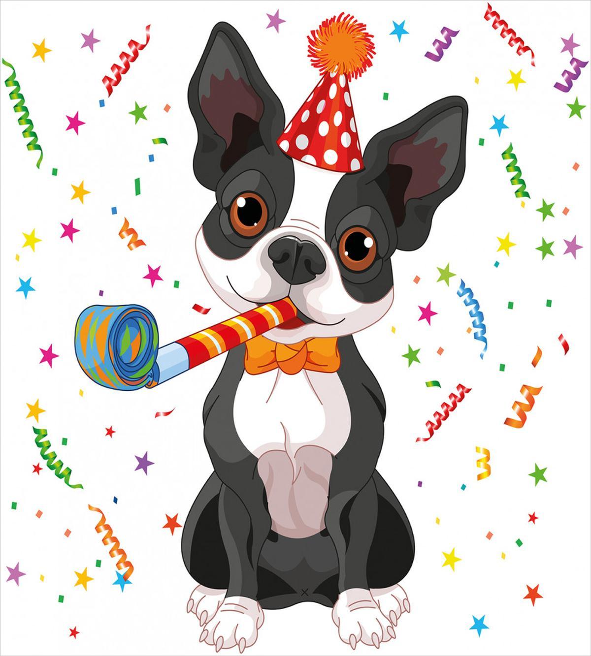 Boston Terrier Dog — Pattern