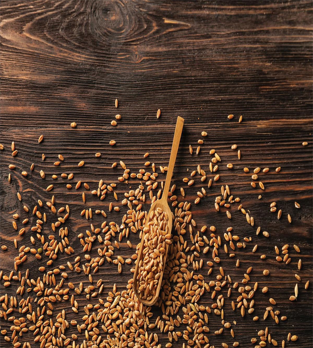 Scoop and Raw Wheat — Pattern
