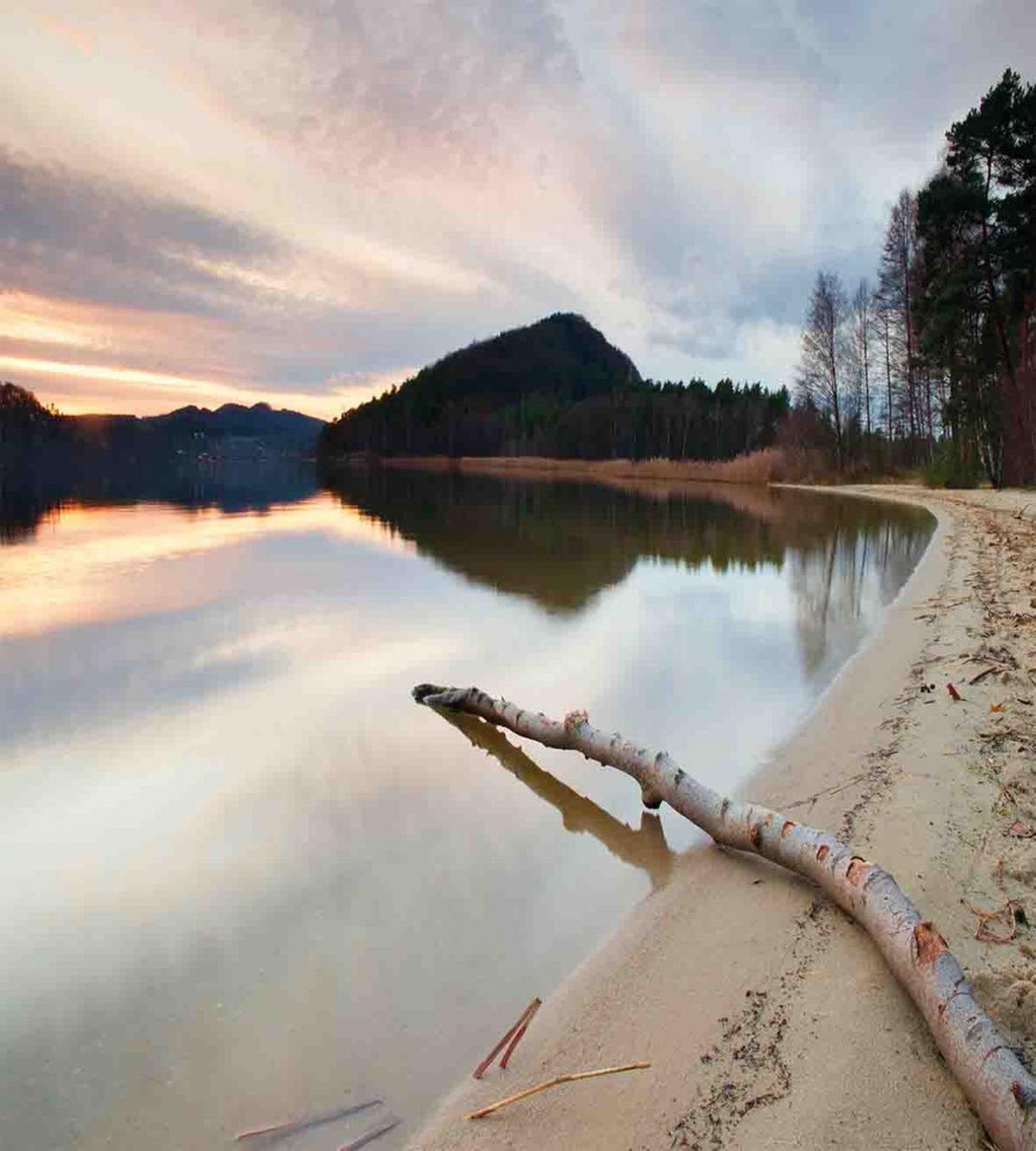 Lake Shore with Trees — Pattern