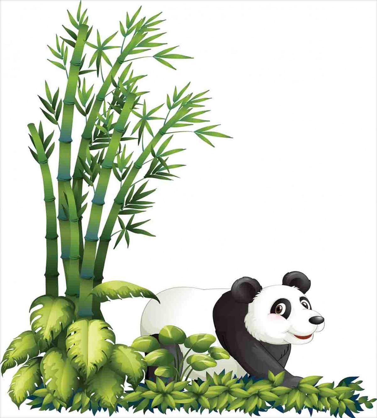 Panda Bear Bamboo — Pattern