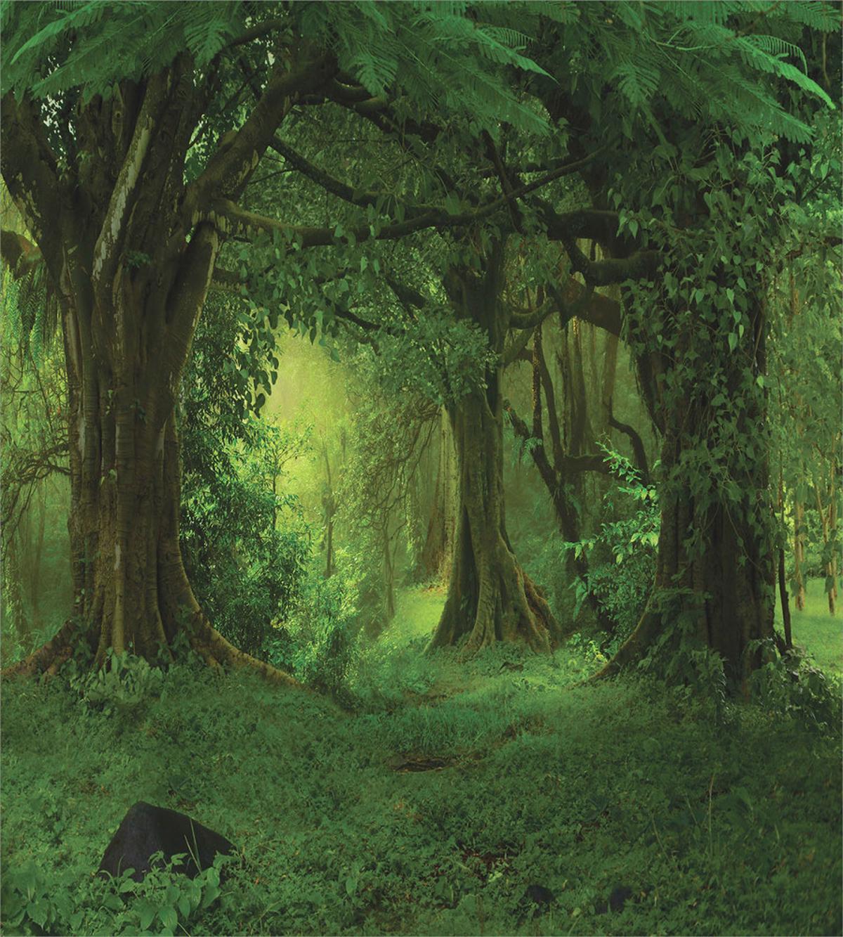 Tropical Jungle Trees — Pattern