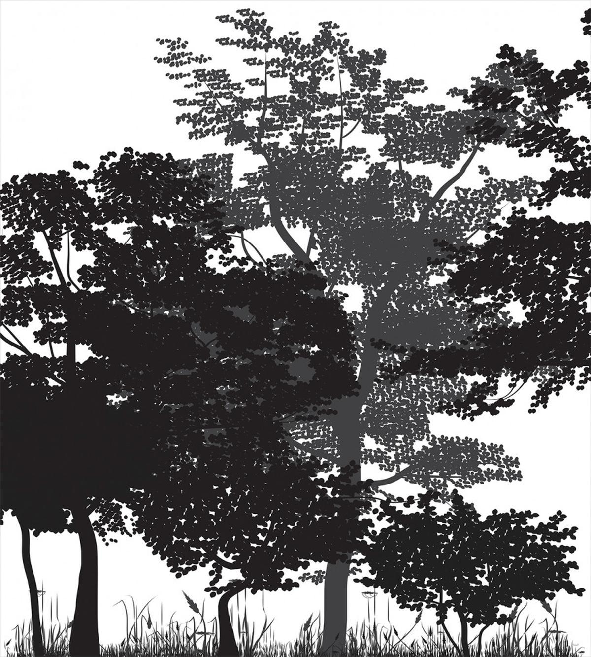 Deciduous Trees Nature — Pattern