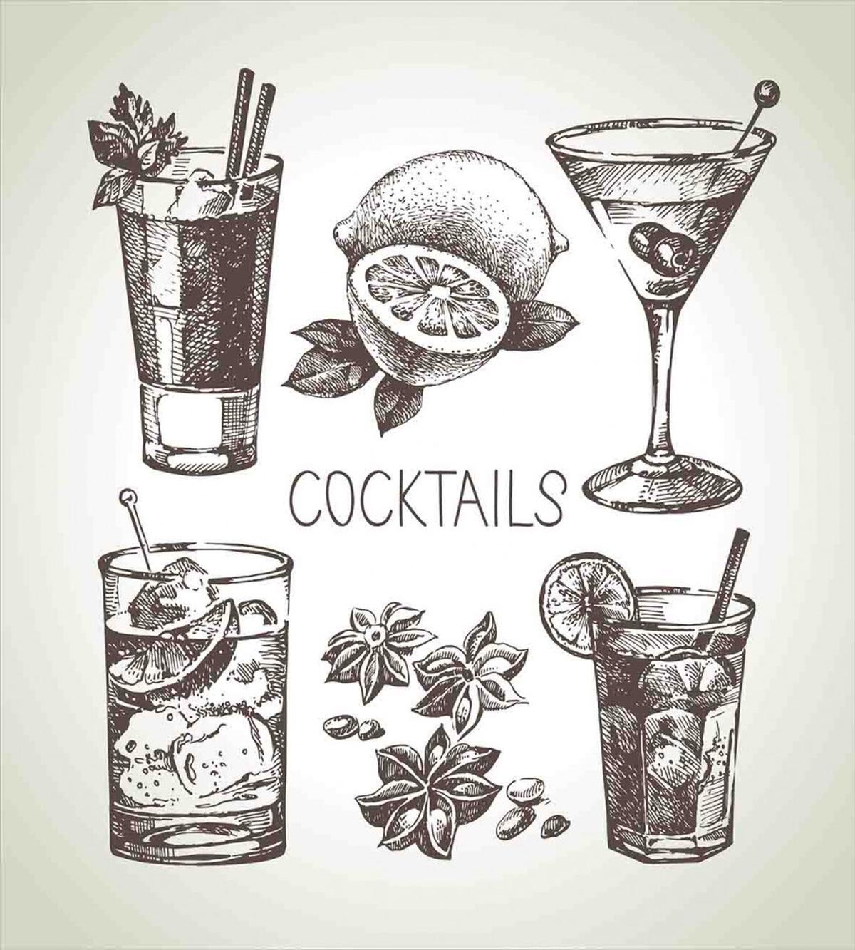 Vintage Sketch Beverage — Pattern