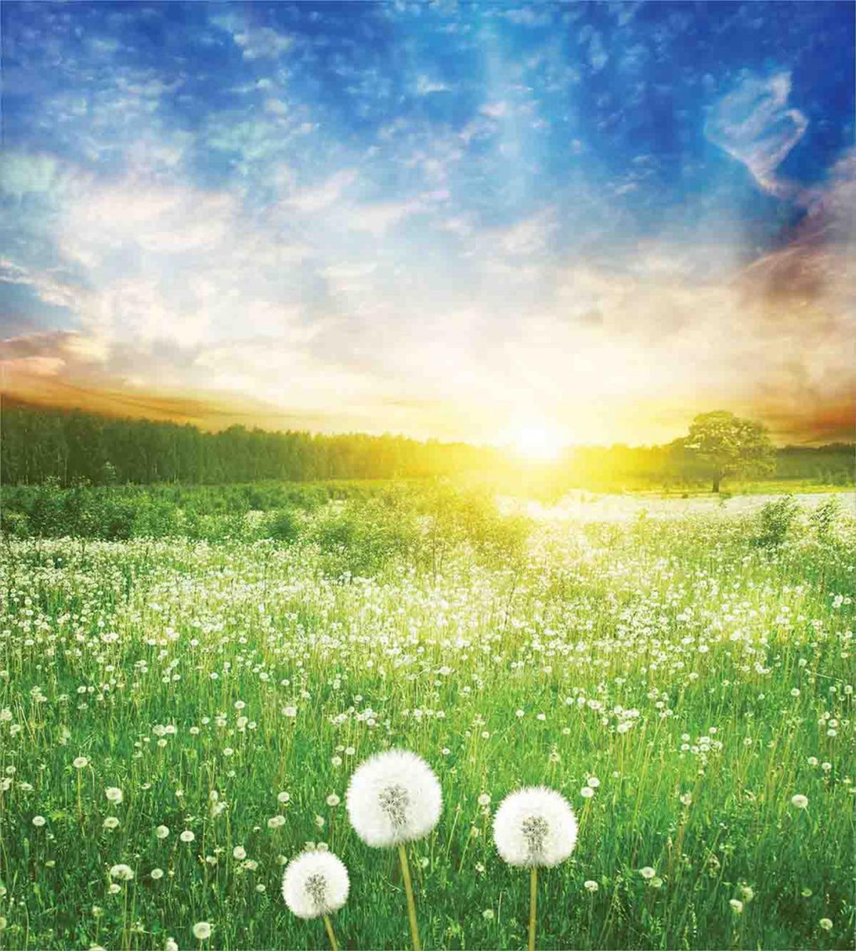 Dandelion Flower Field — Pattern