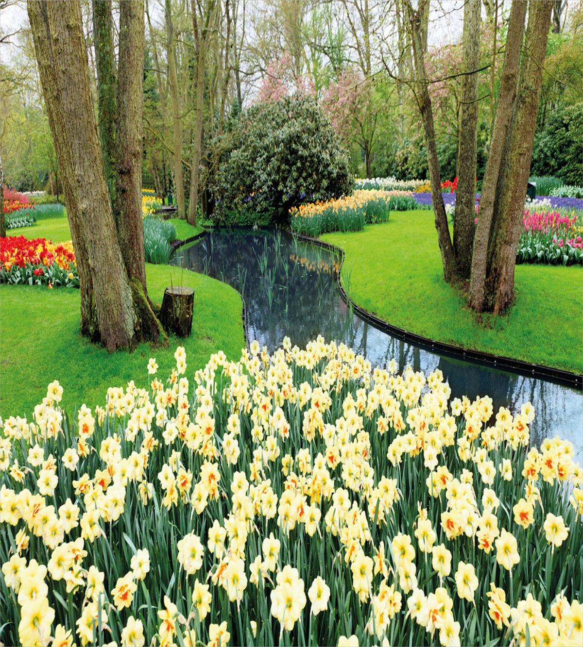 Flower Garden Grass Park — Pattern