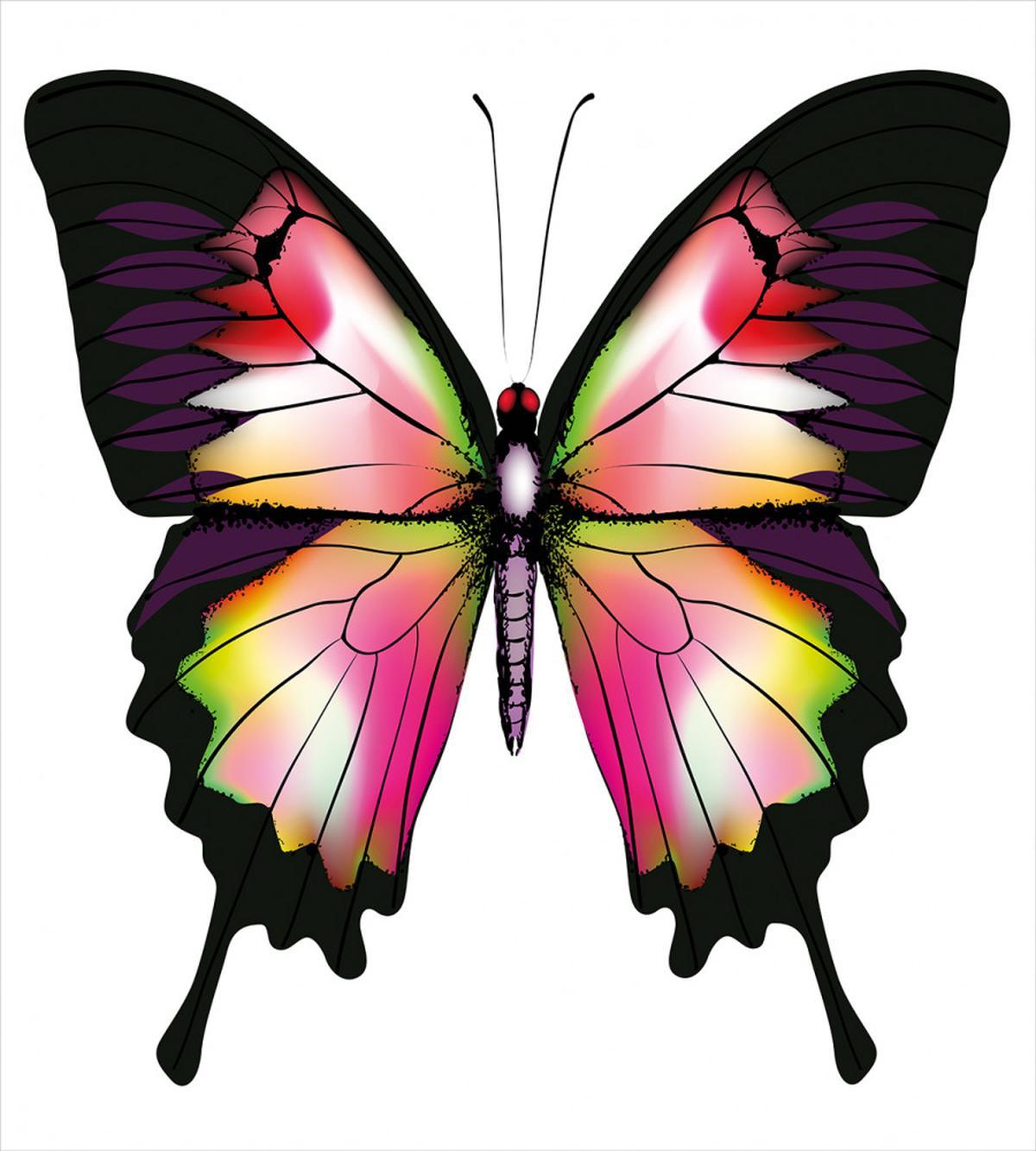 Lively Insect — Pattern
