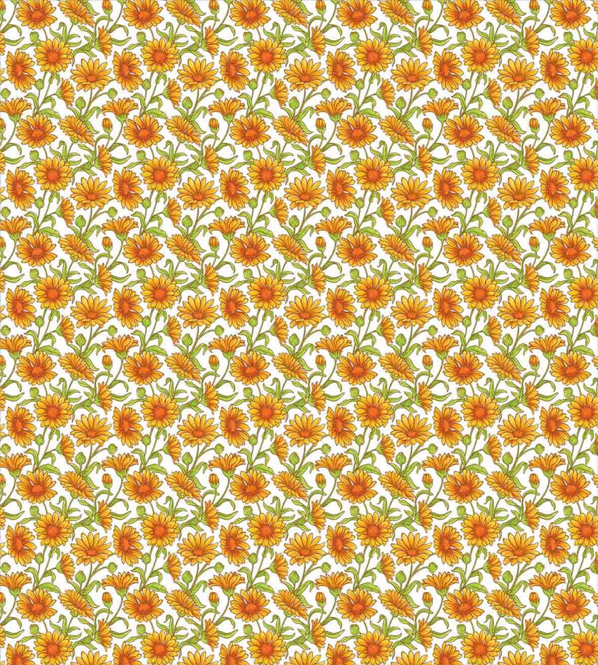 Botanic Cartoon Calendula — Pattern