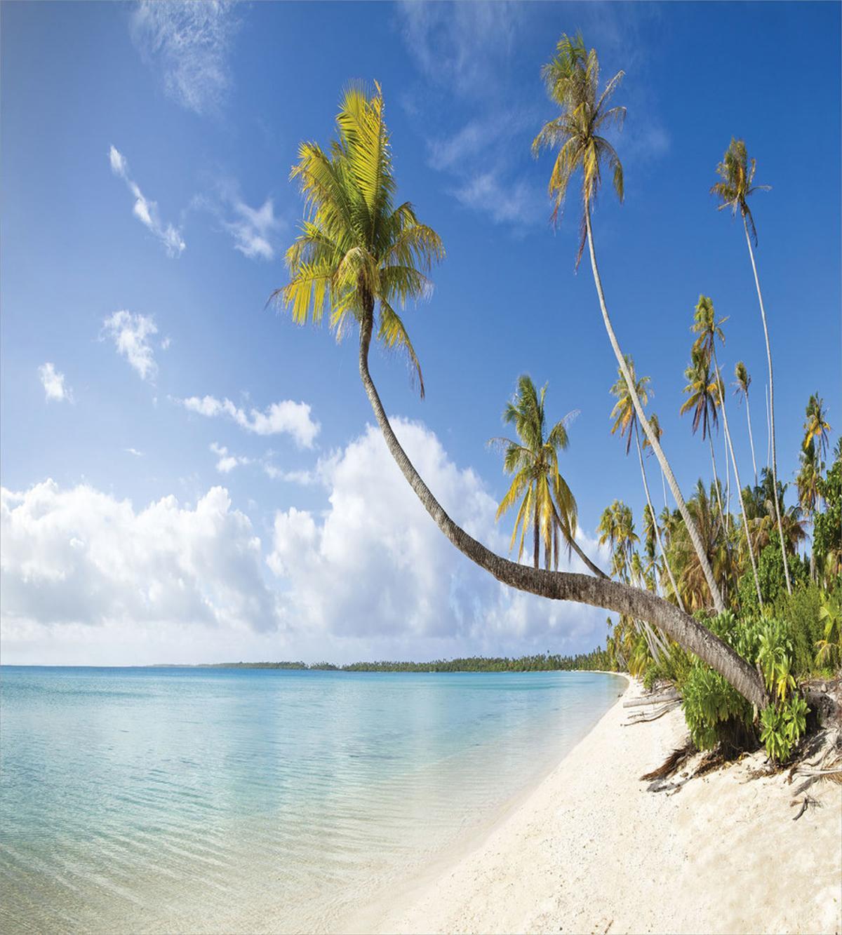 Tropical Beach and Palm Leaves — Pattern