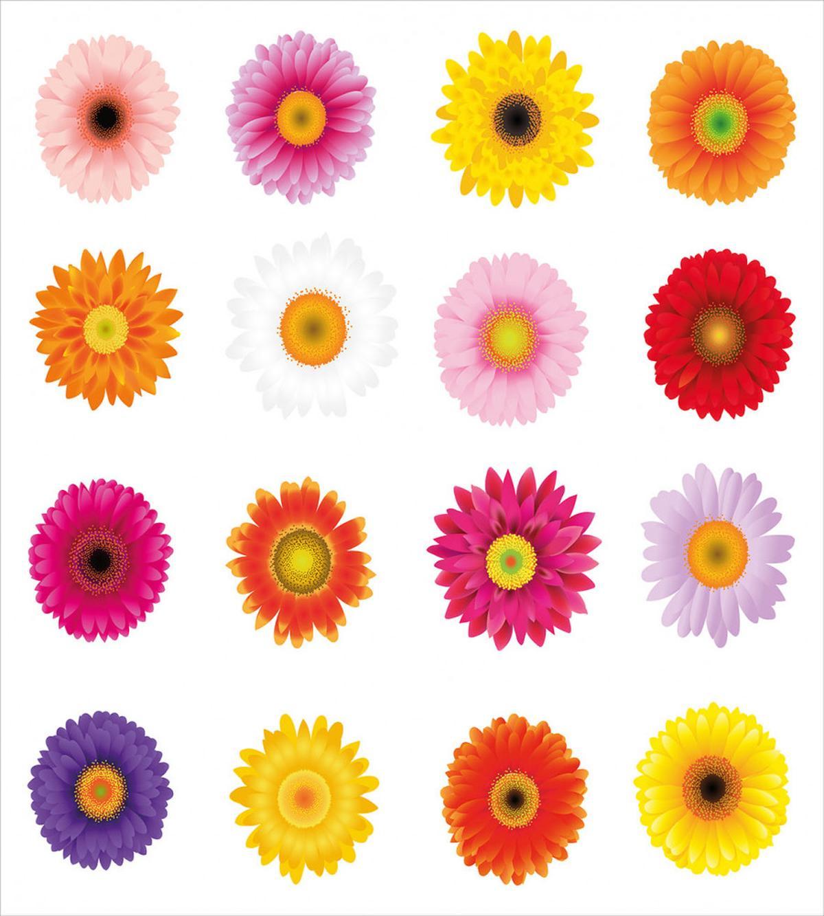 Colorful Petals Love — Pattern