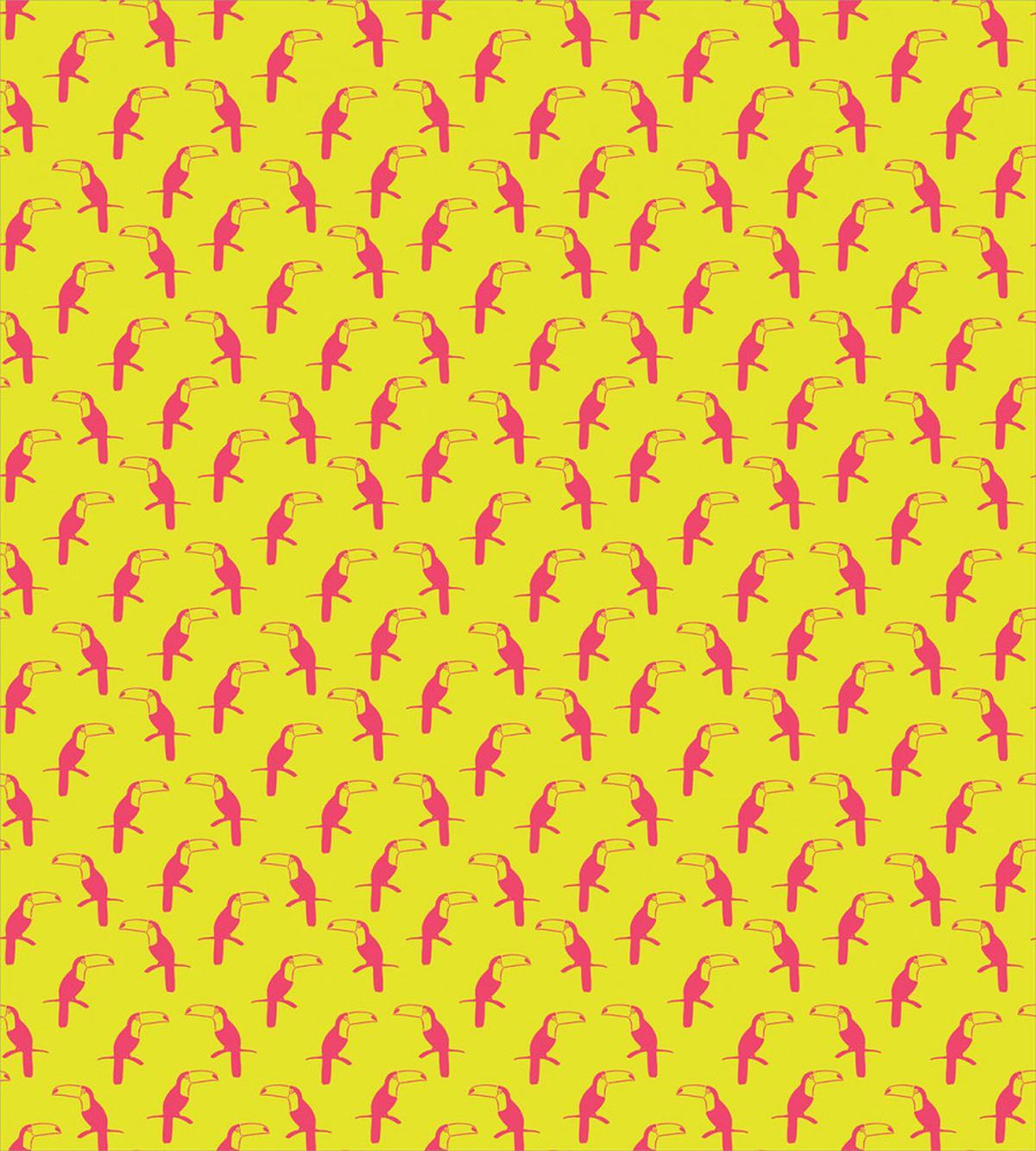Tropical Toucan — Pattern