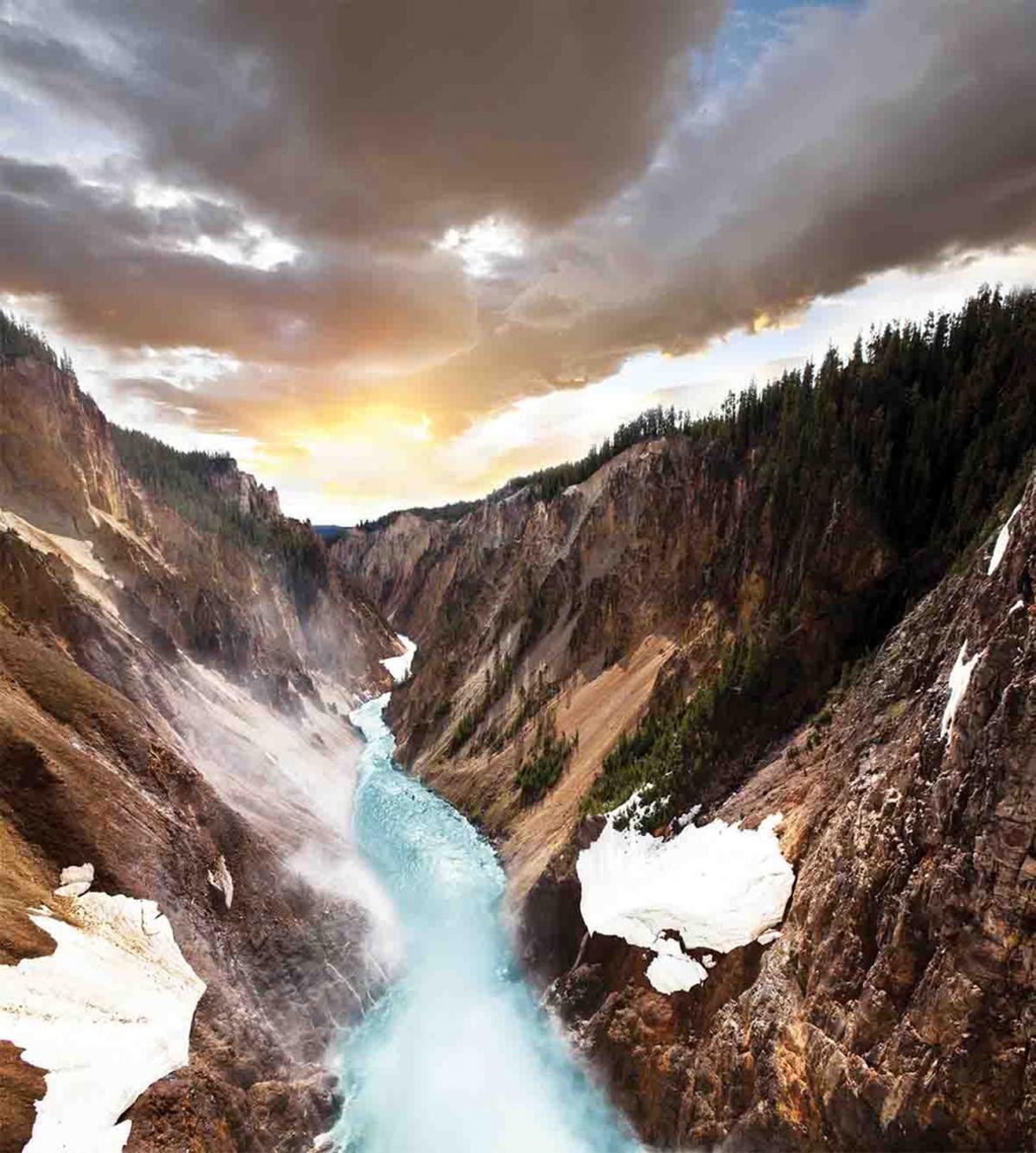 Canyon Forest View — Pattern