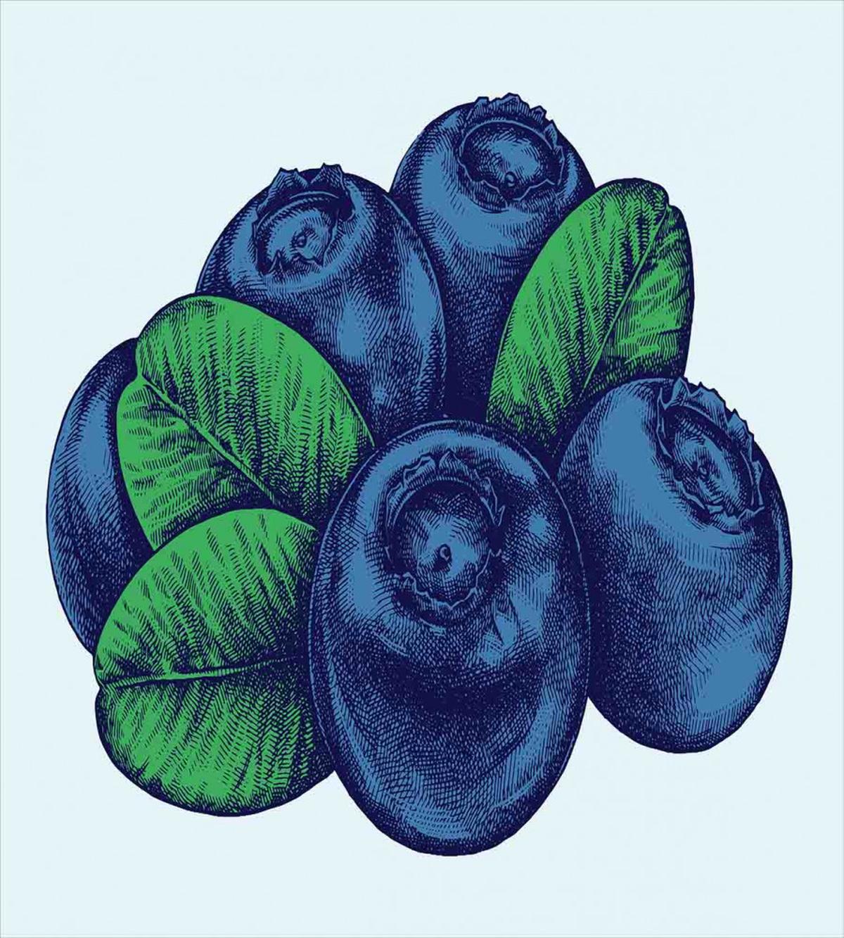 Vintage Blueberry — Pattern