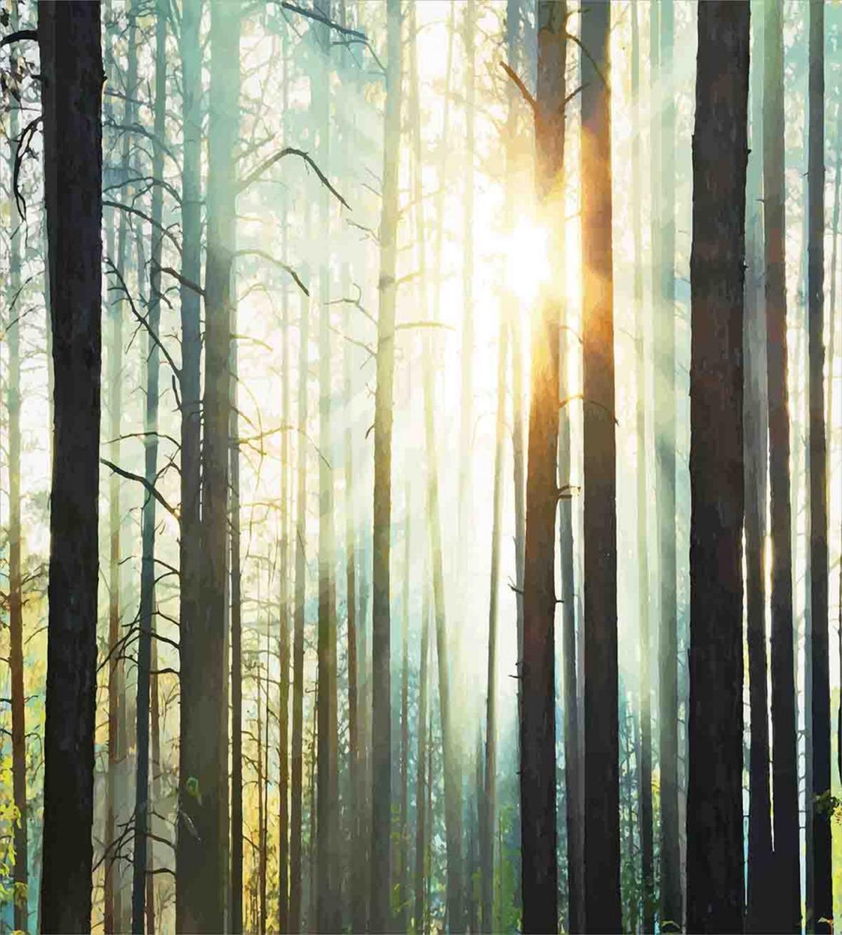 Fairy Foggy Forest Woods — Pattern