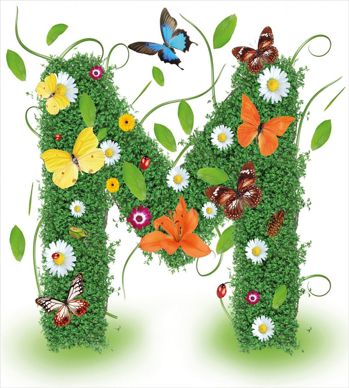 Flower and Butterfly M — Pattern