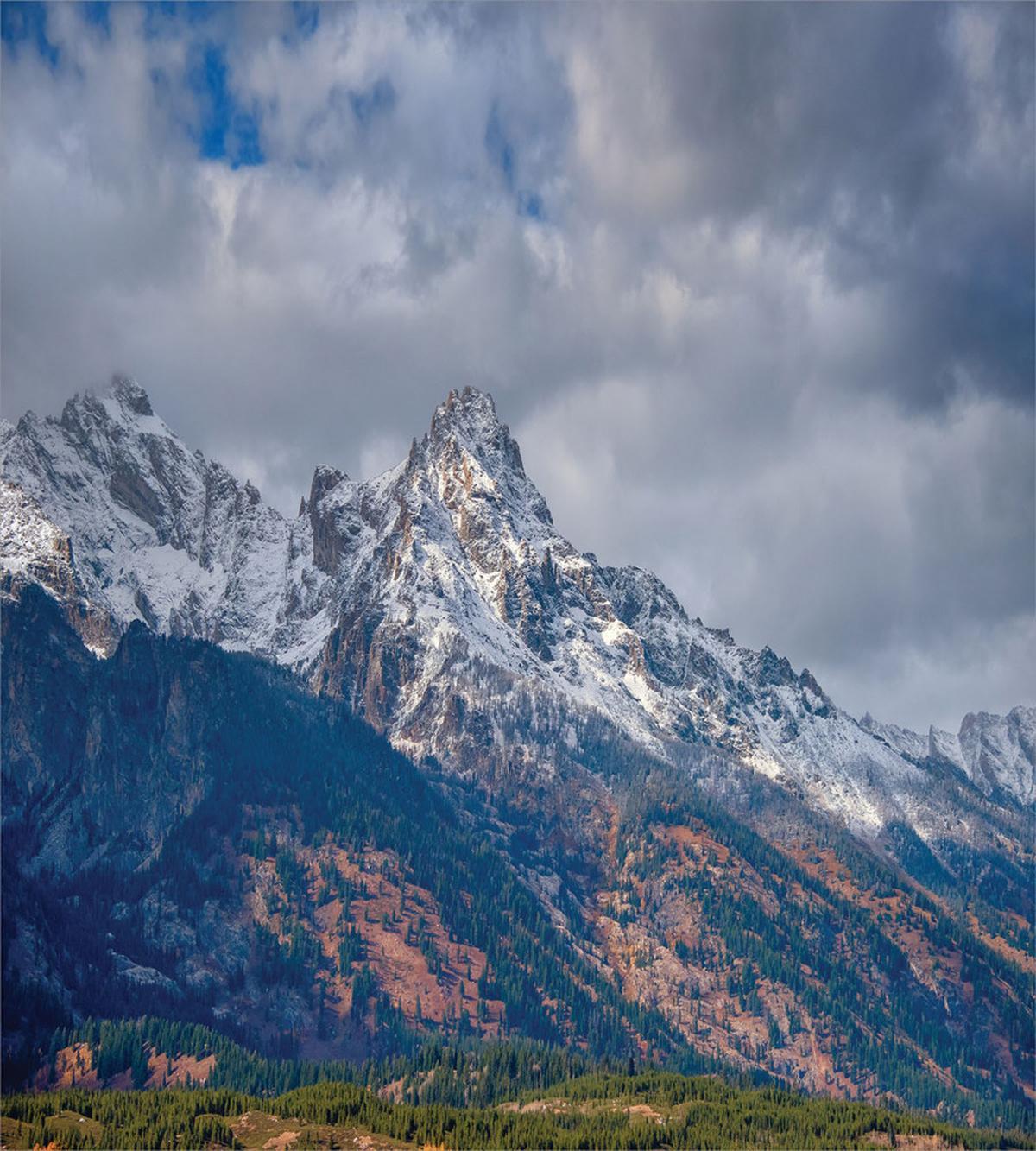 Snowy Scene Grand Teton — Pattern