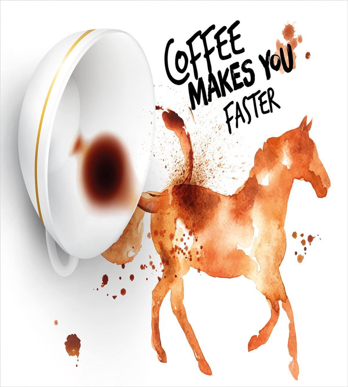 Horse Animal Words — Pattern