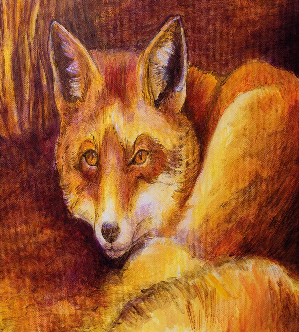 Vibrant Art Fox Resting — Pattern