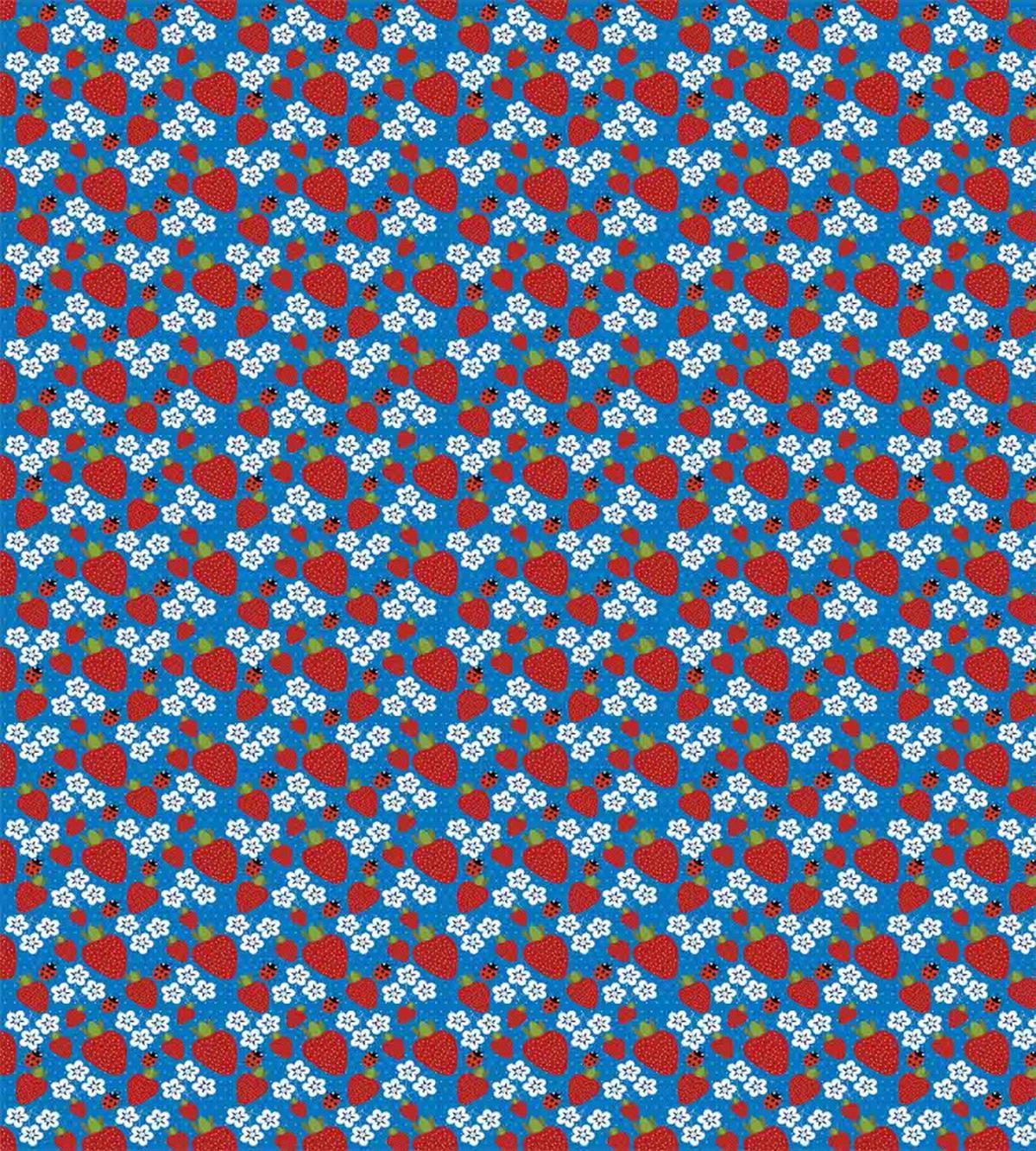 Strawberry and Flowers — Pattern