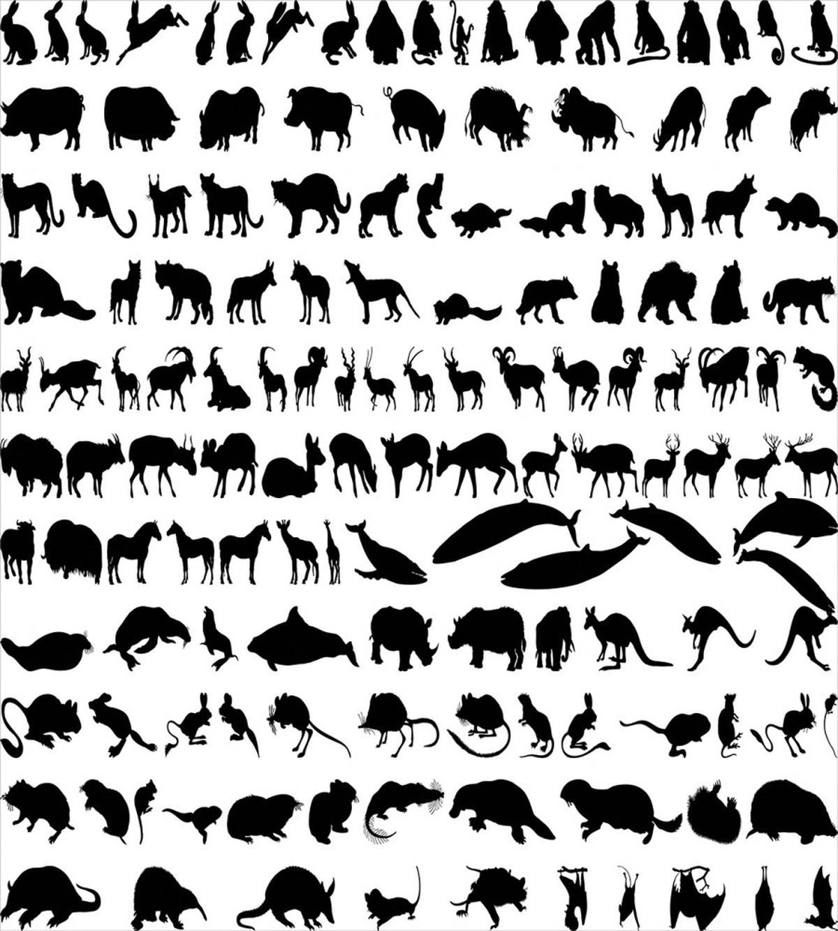 Animal Silhouettes Habitat — Pattern