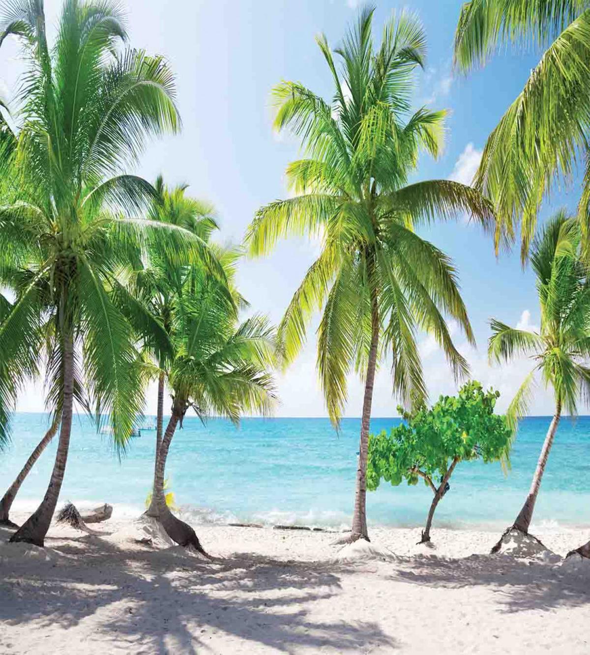 Palm Trees Island Shore — Pattern