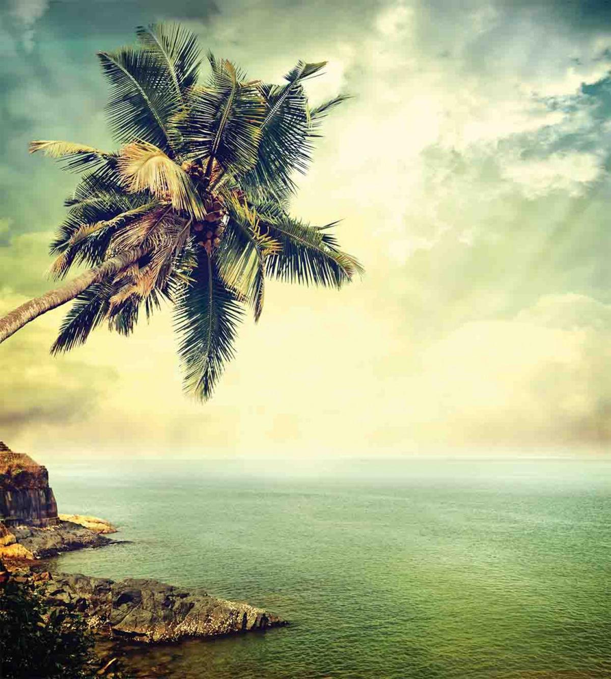 Palm Tree Rocky Shore — Pattern