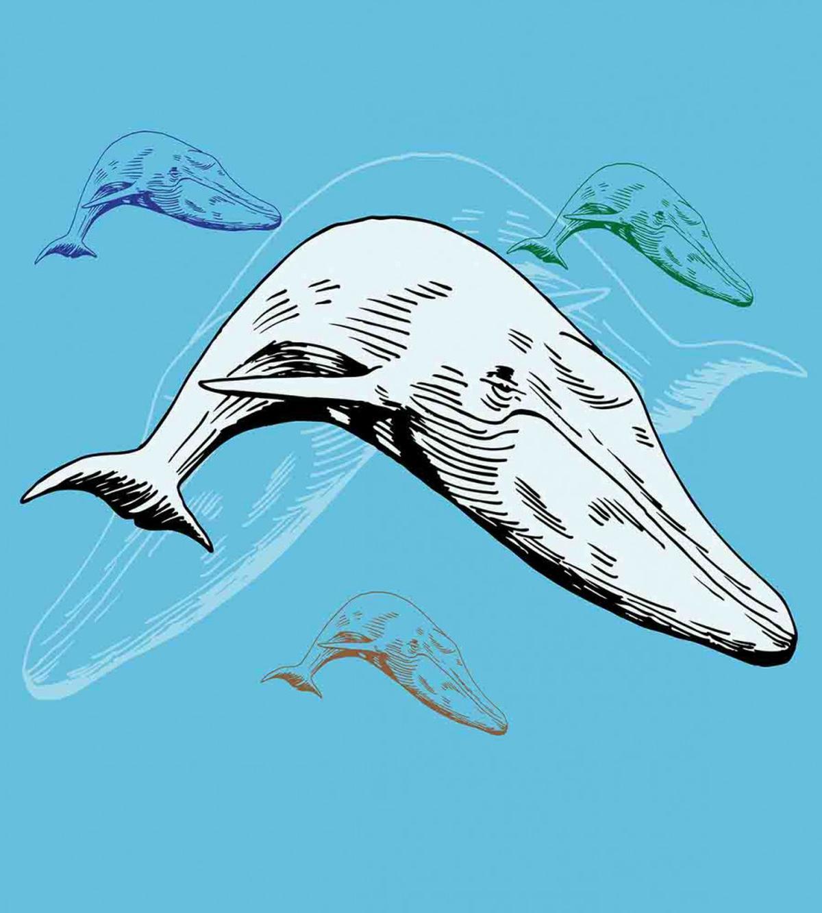 Ocean Whales Hand Drawn — Pattern