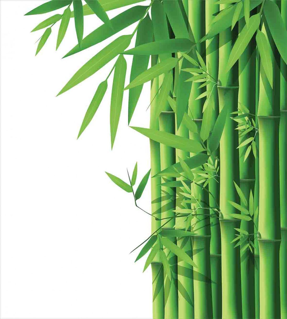 Modern Bamboos Stems — Pattern
