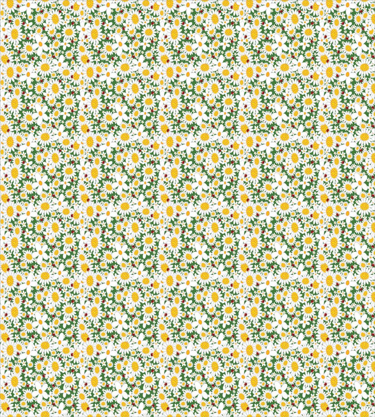 Daisy Flowers Chamomiles — Pattern