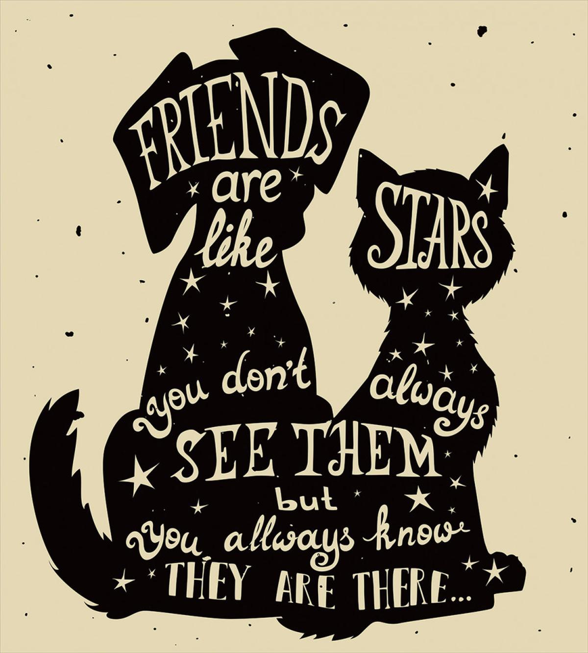 Cat Dog Friends — Pattern