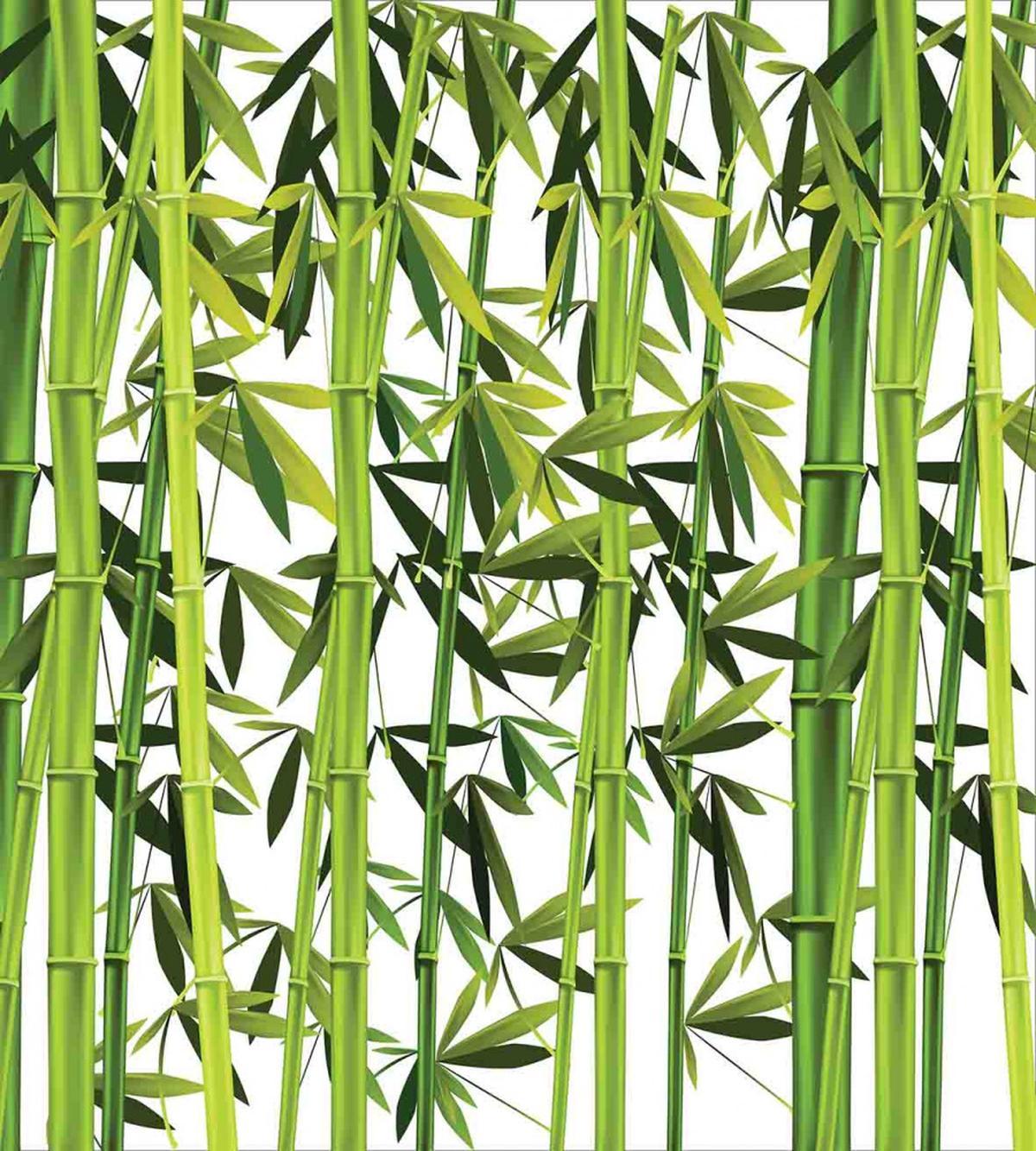 Fresh Green Plants — Pattern