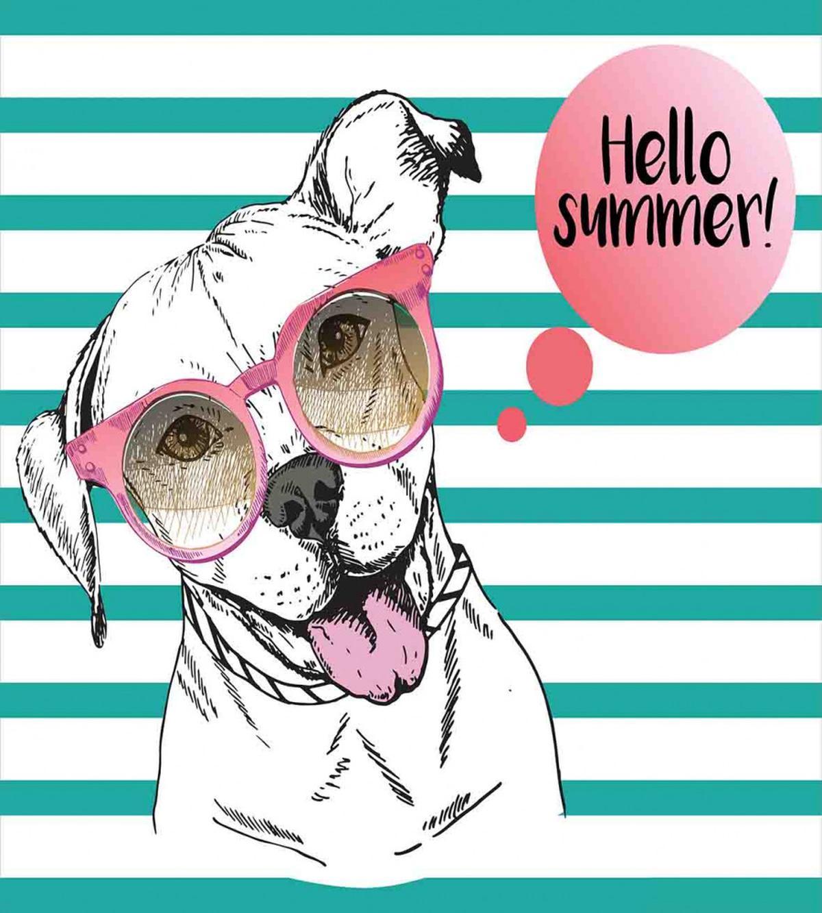 English Pitbull Sunglassess — Pattern