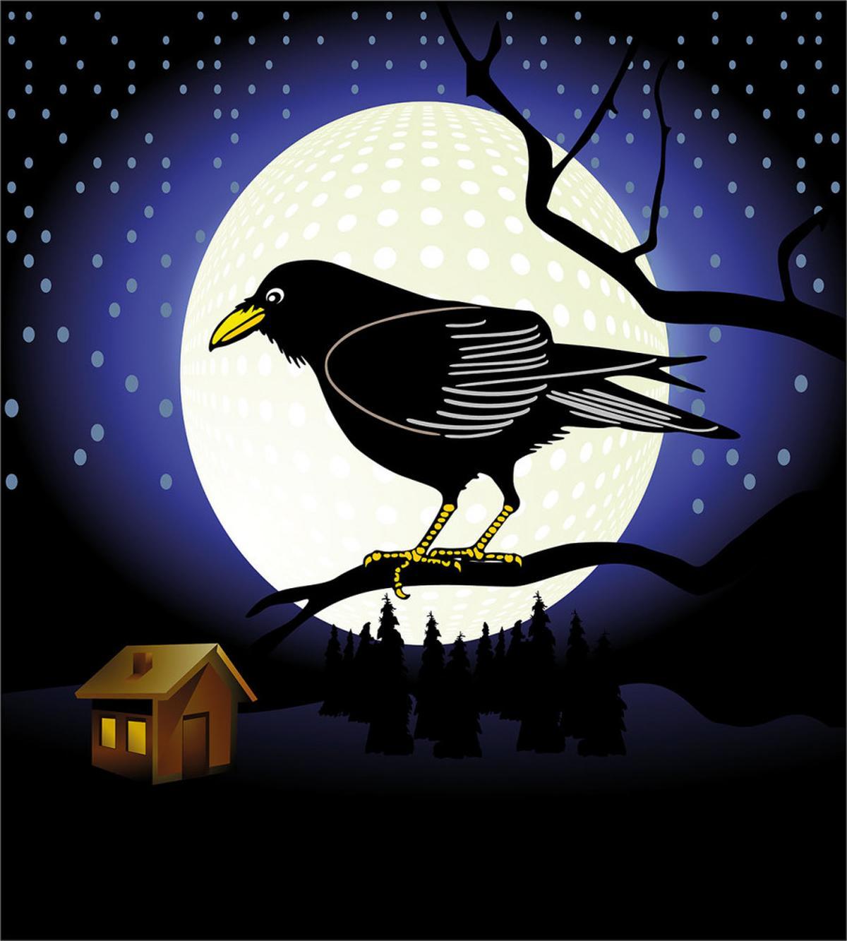 Full Moon Night Bird — Pattern