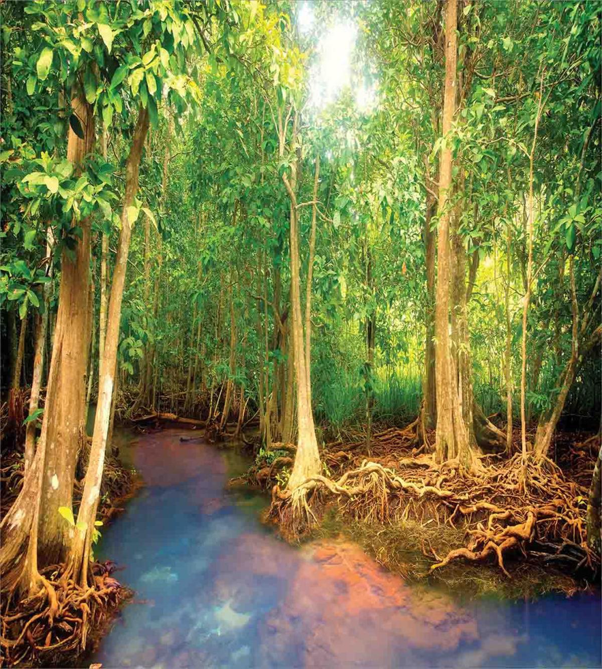Roots of Mangrove Trees — Pattern