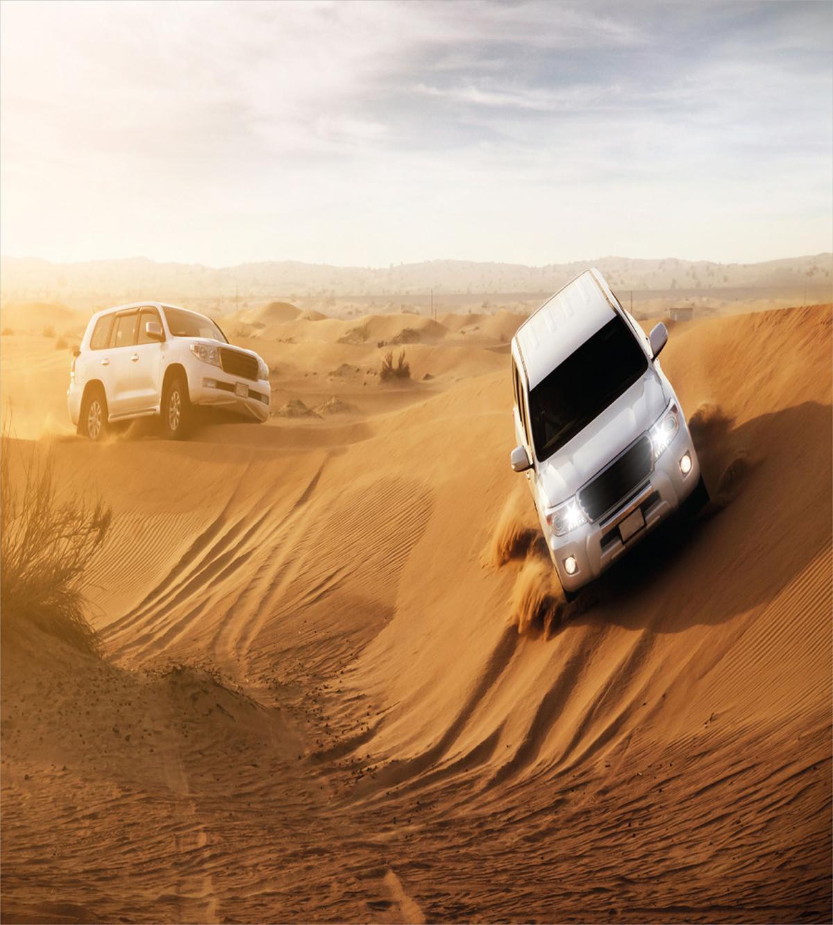 Desert Safari — Pattern