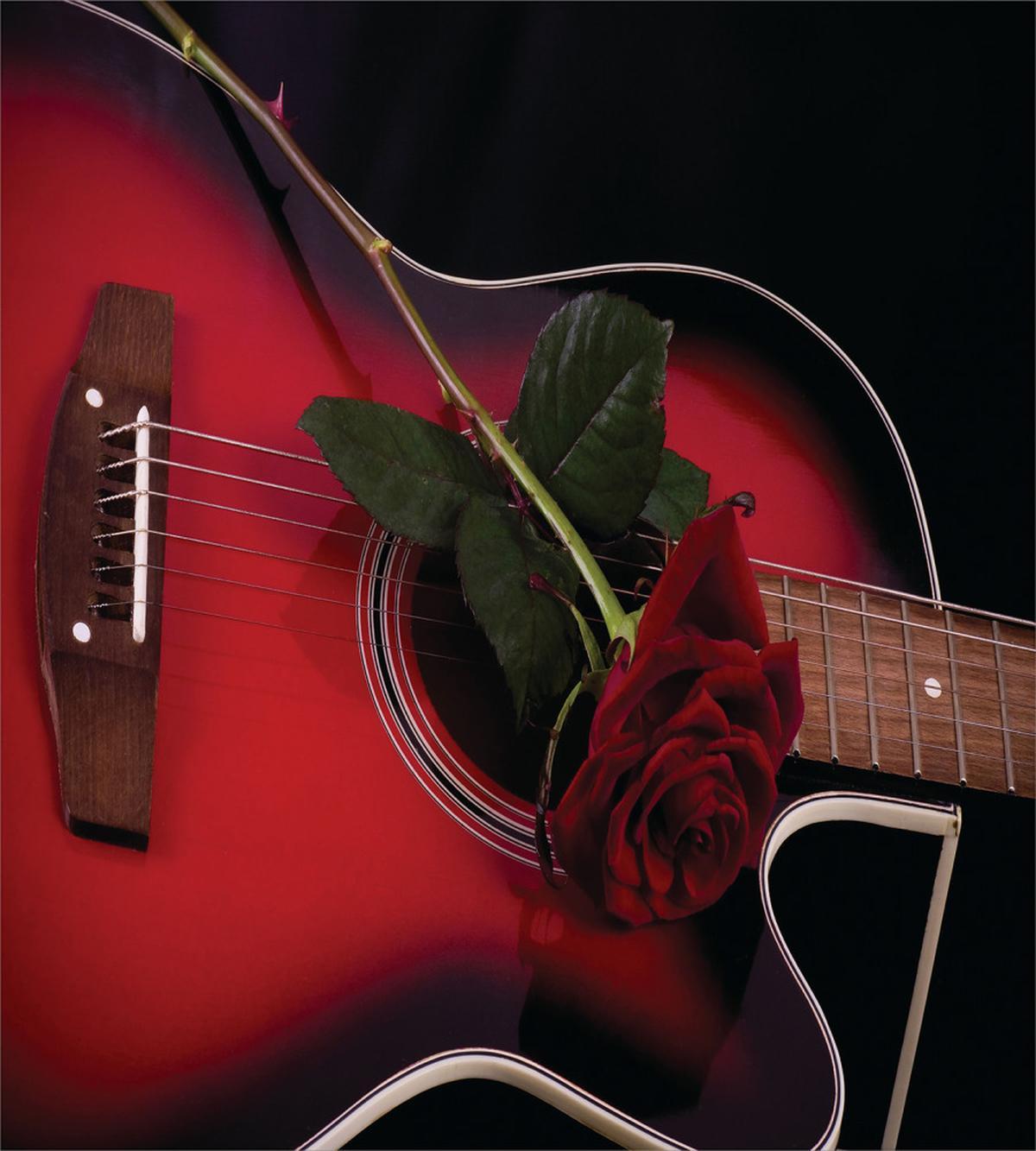 Guitar with Love Rose — Pattern