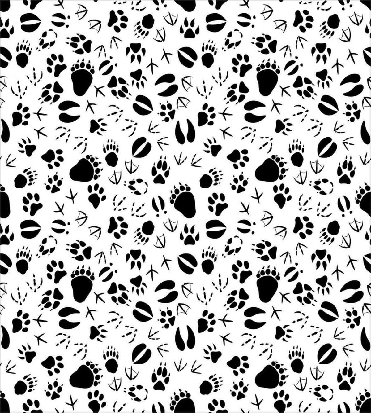 Footprints of Animals — Pattern