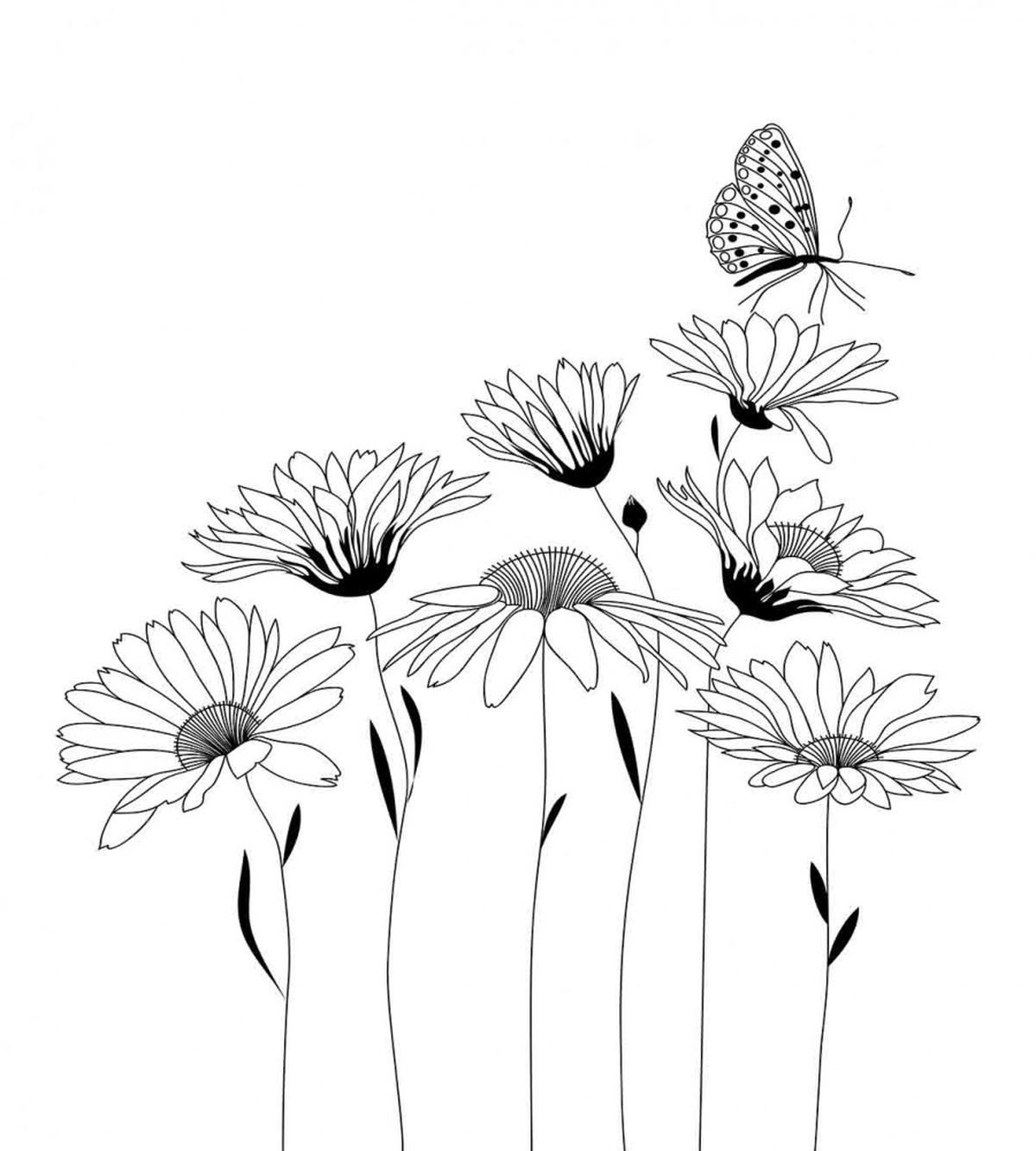 Sketch Fauna and Flora — Pattern