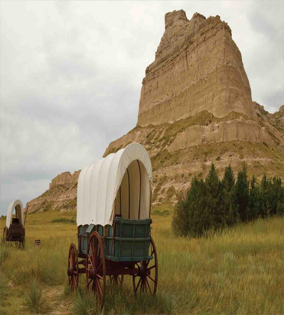 Old Wagon Rural Land — Pattern