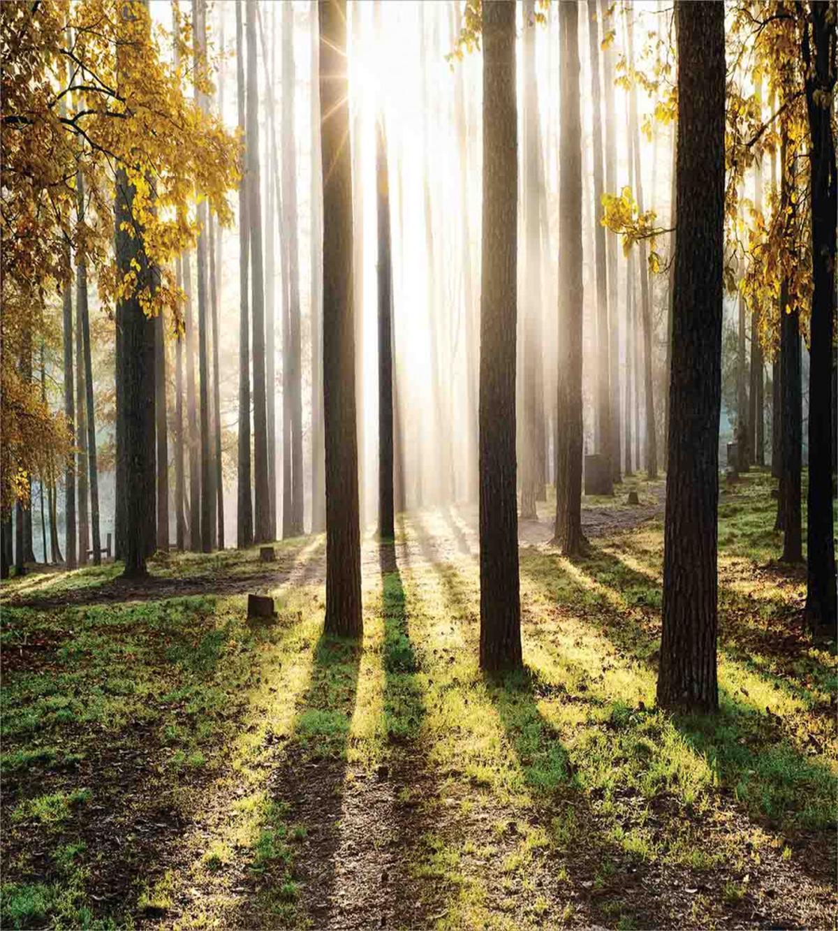 Forest Leaves at Sunrise — Pattern