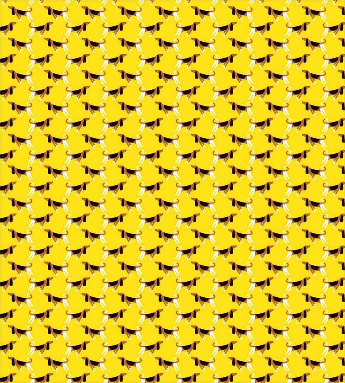 Fun Pet Characters on Yellow — Pattern